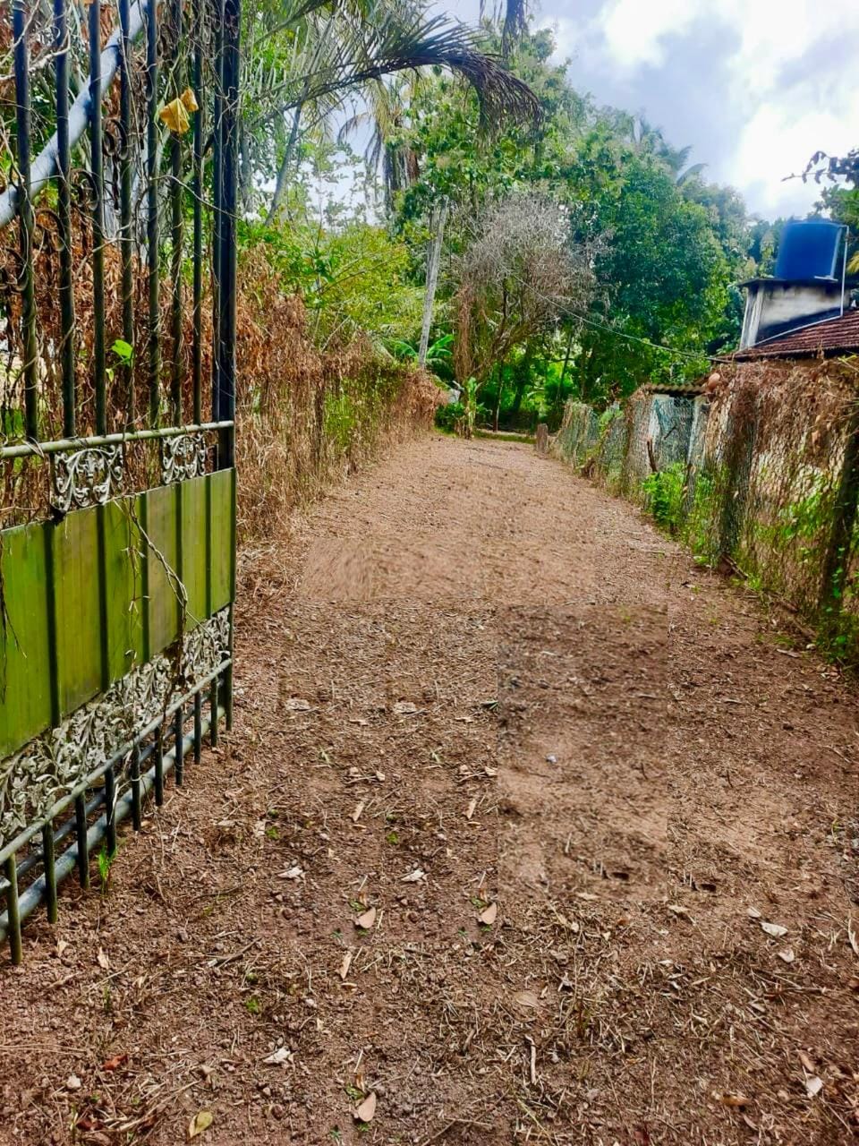 Land of 40P for Sale Near Katunayake International Airport