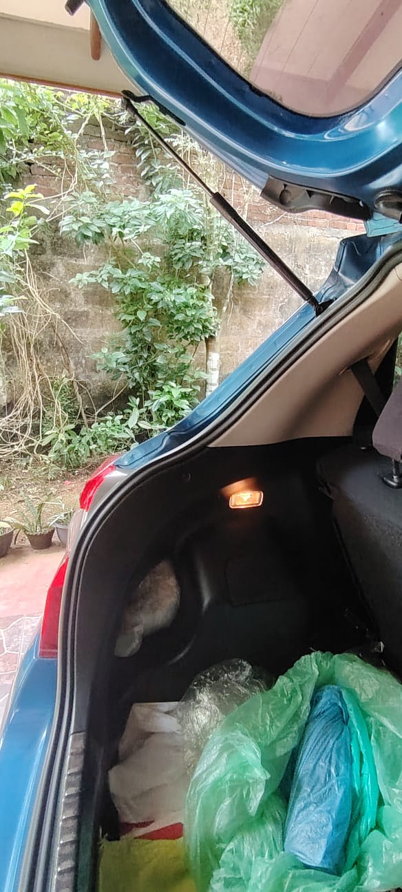 Toyota Vitz 2016