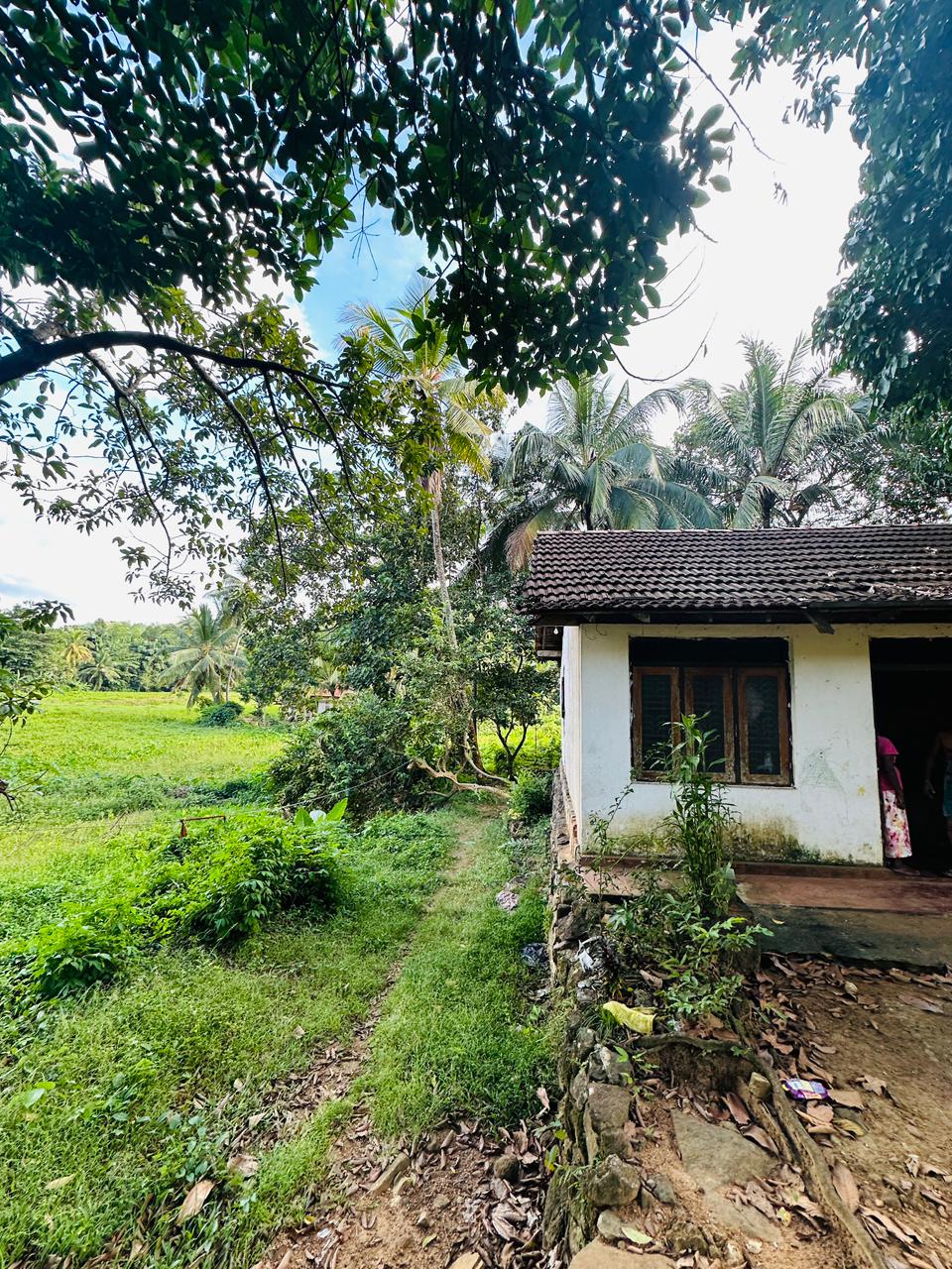Land For Sale In Warakapola