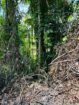 Land For Sale In Warakapola