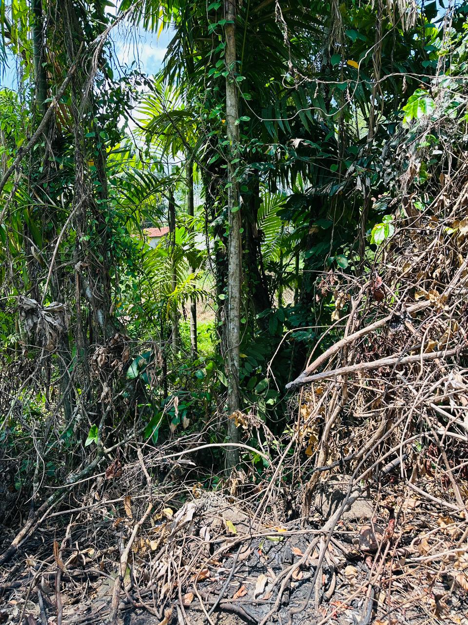 Land For Sale In Warakapola