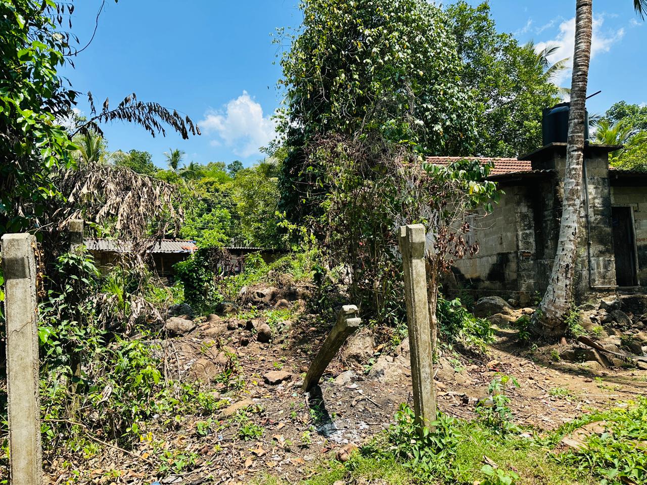 Land For Sale In Warakapola