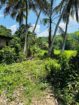 Land For Sale In Warakapola