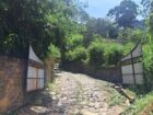 Prime Scenic Land for Sale – Thawalantenna (Ramboda)