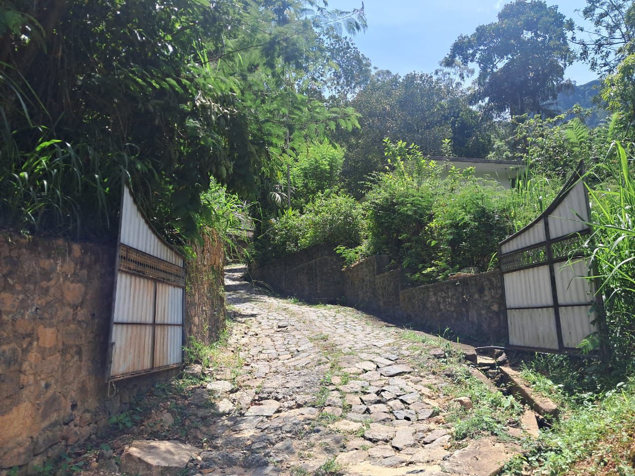 Prime Scenic Land for Sale – Thawalantenna (Ramboda)