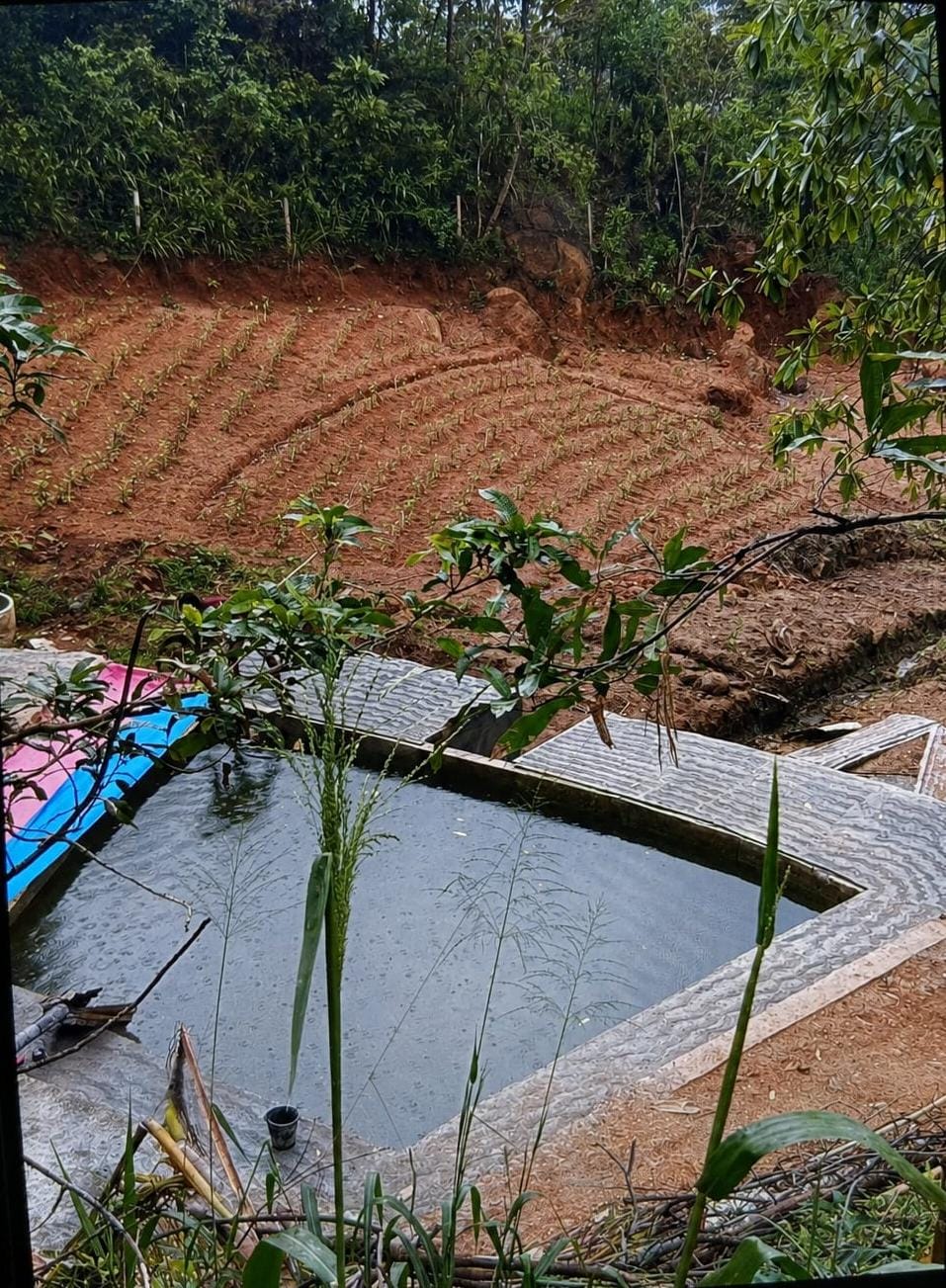 Land for Sale in Ambuluwawa
