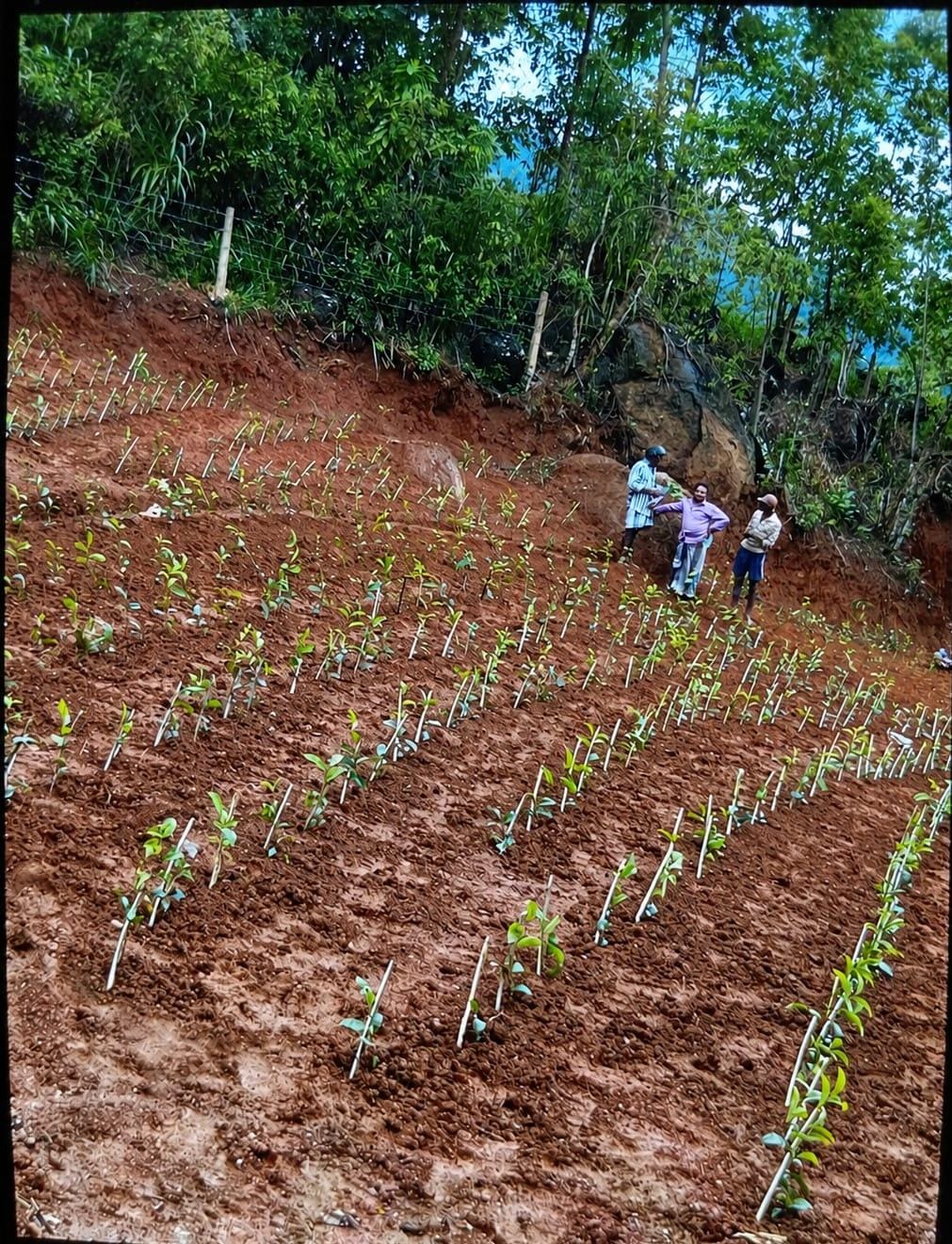 Land for Sale in Ambuluwawa