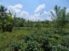 Land for Sale Padukka Town