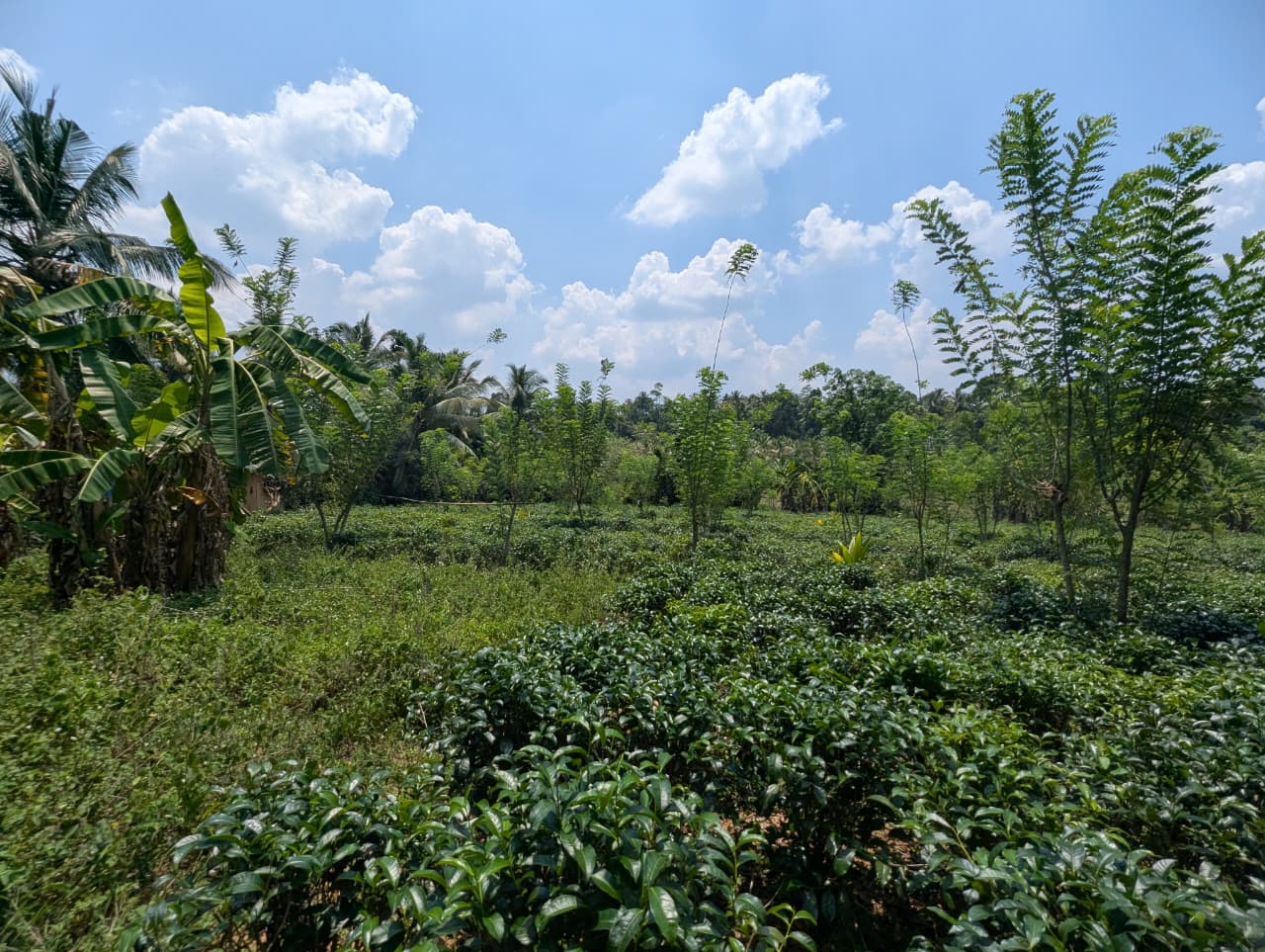 Land for Sale Padukka Town
