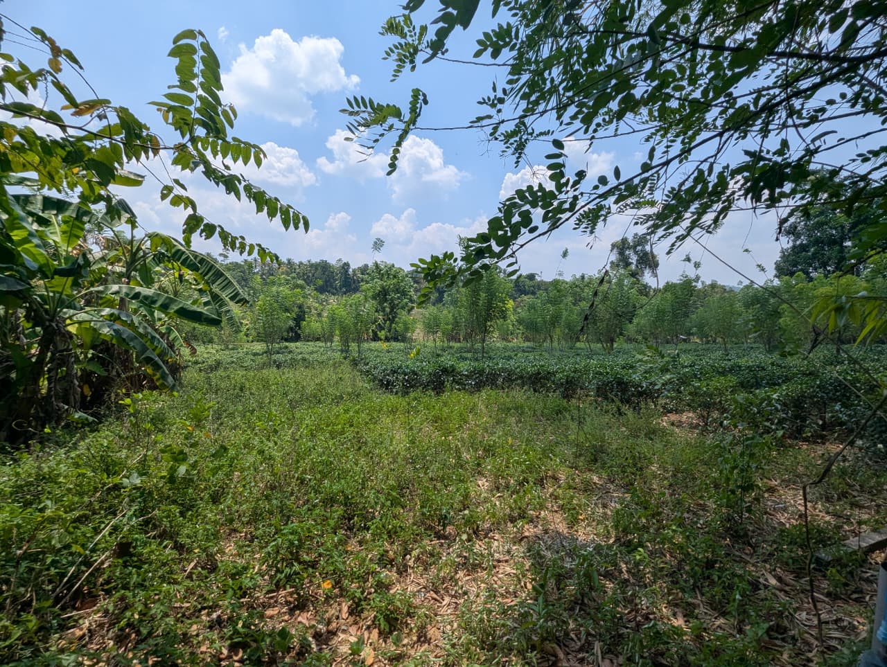 Land for Sale Padukka Town