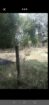 Land For Sale In Yakkala