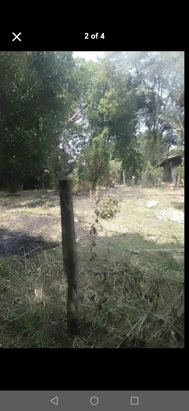 Land For Sale In Yakkala