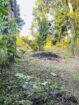Land for Sale in Ekala