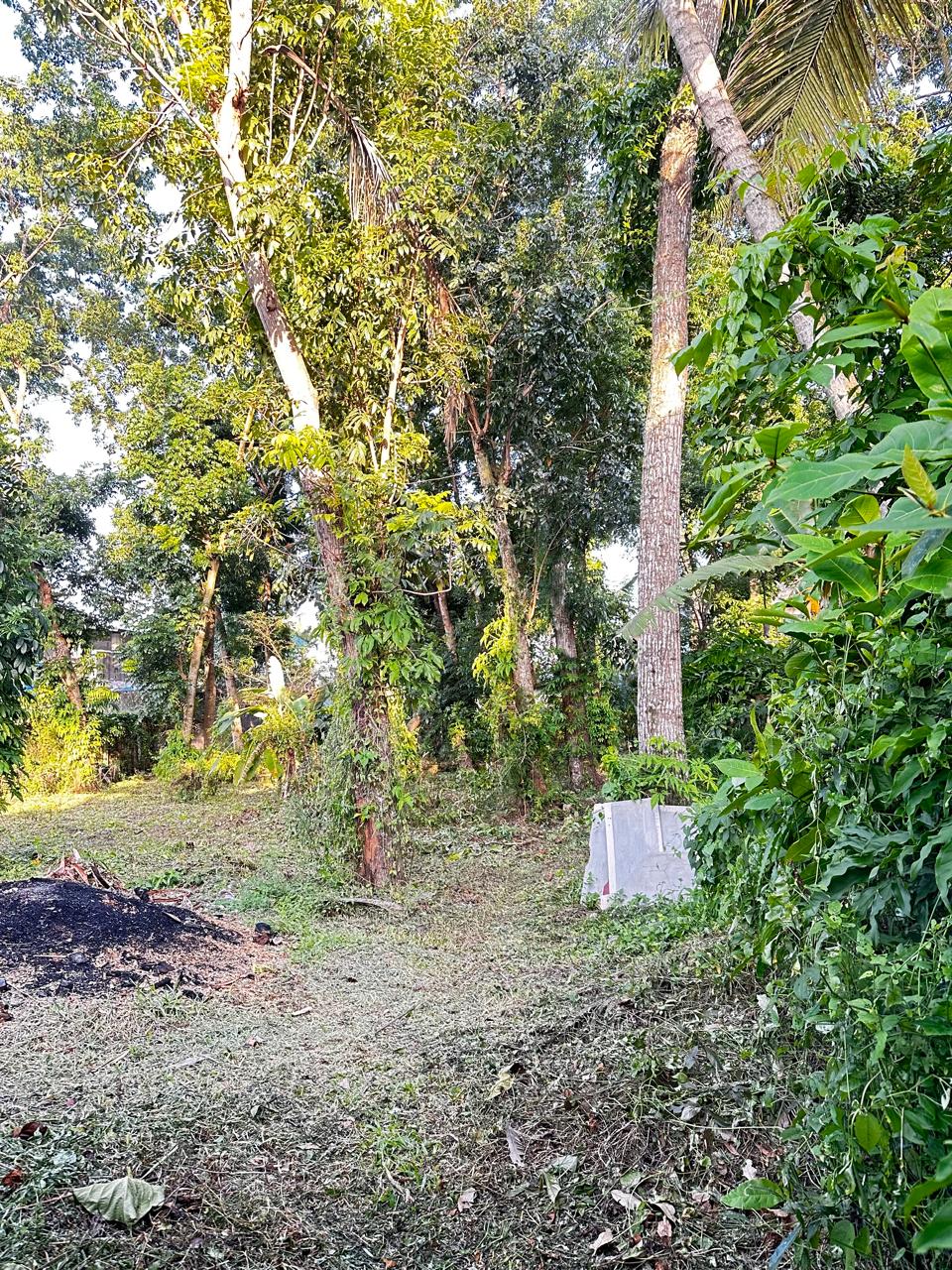 Land for Sale in Ekala