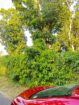Land for Sale in Ekala