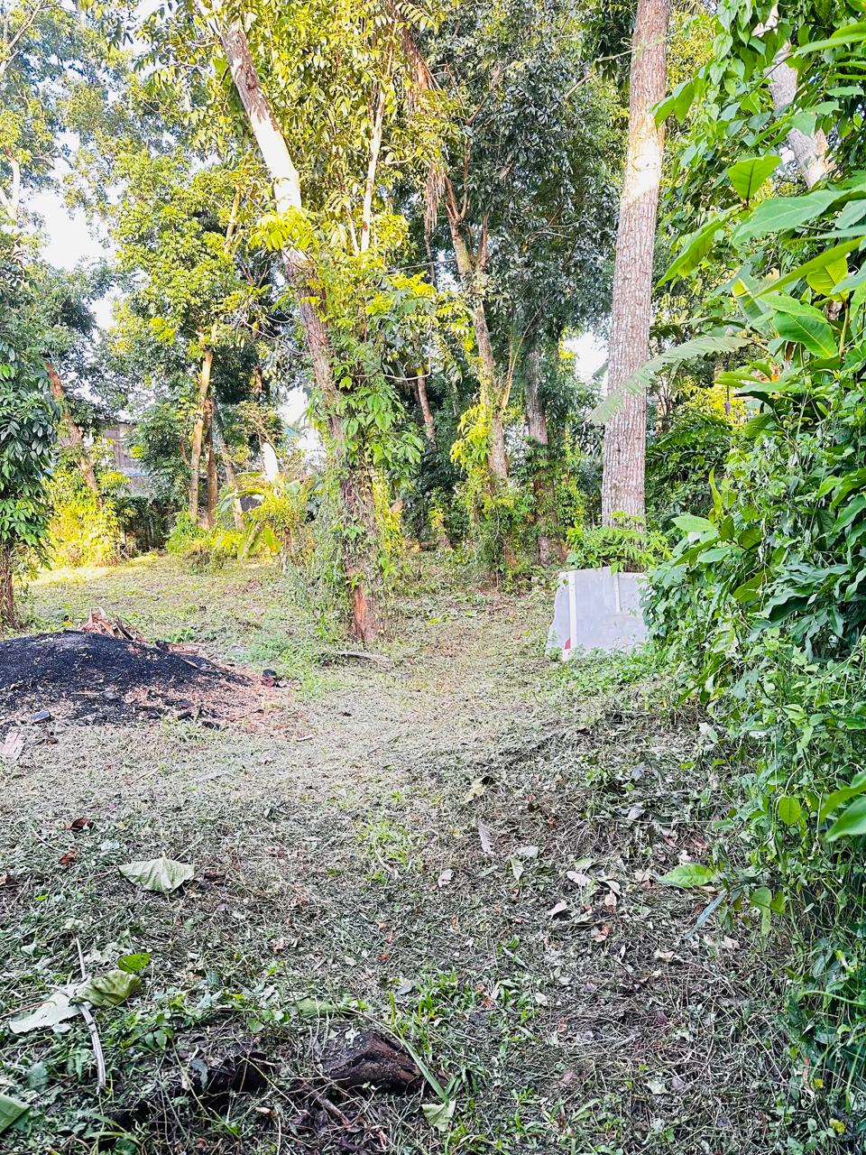 Land for Sale in Ekala