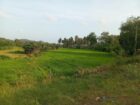 Keselwatta Land for Sale