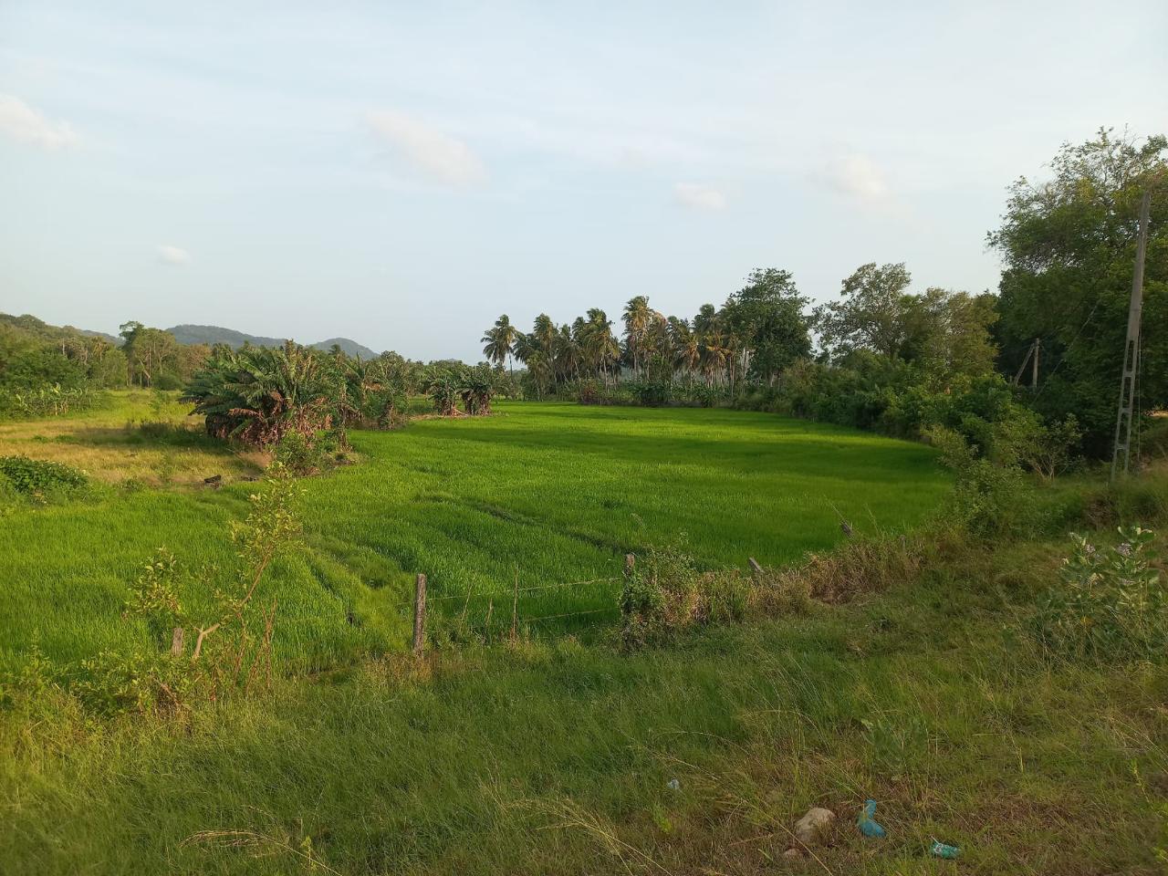 Keselwatta Land for Sale
