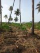 Keselwatta Land for Sale