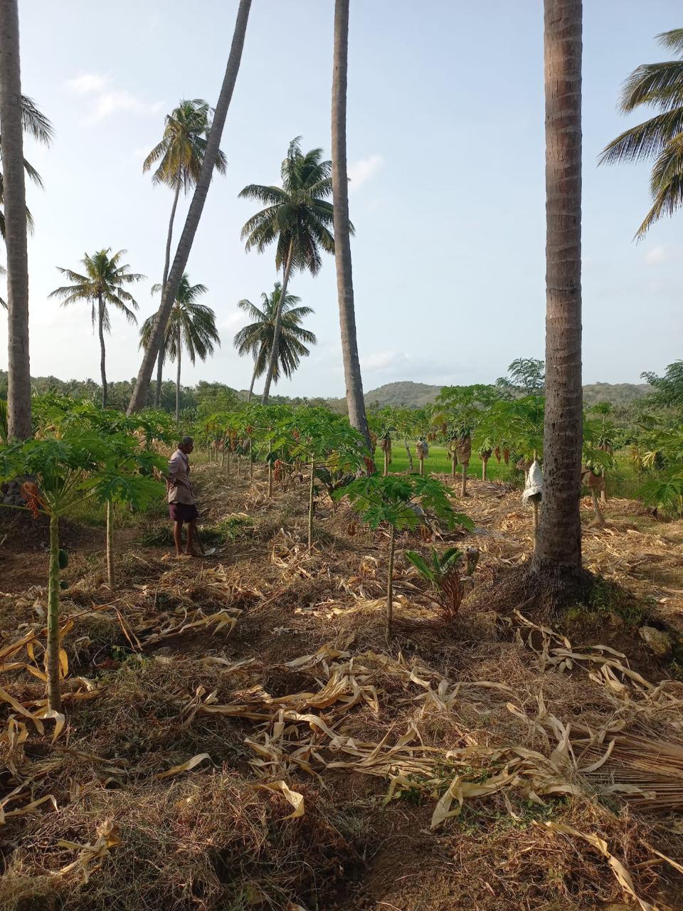 Keselwatta Land for Sale