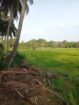 Keselwatta Land for Sale