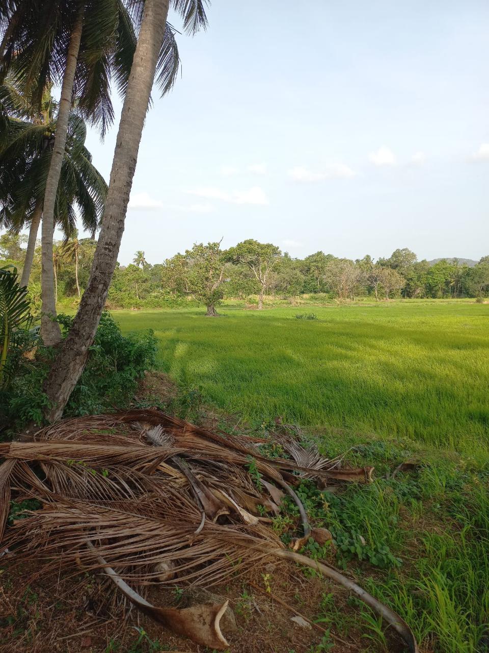 Keselwatta Land for Sale