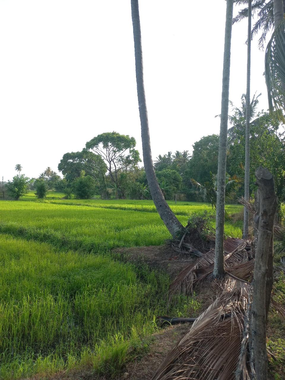 Keselwatta Land for Sale