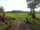 Keselwatta Land for Sale