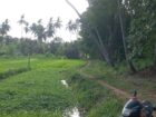 Keselwatta Land for Sale