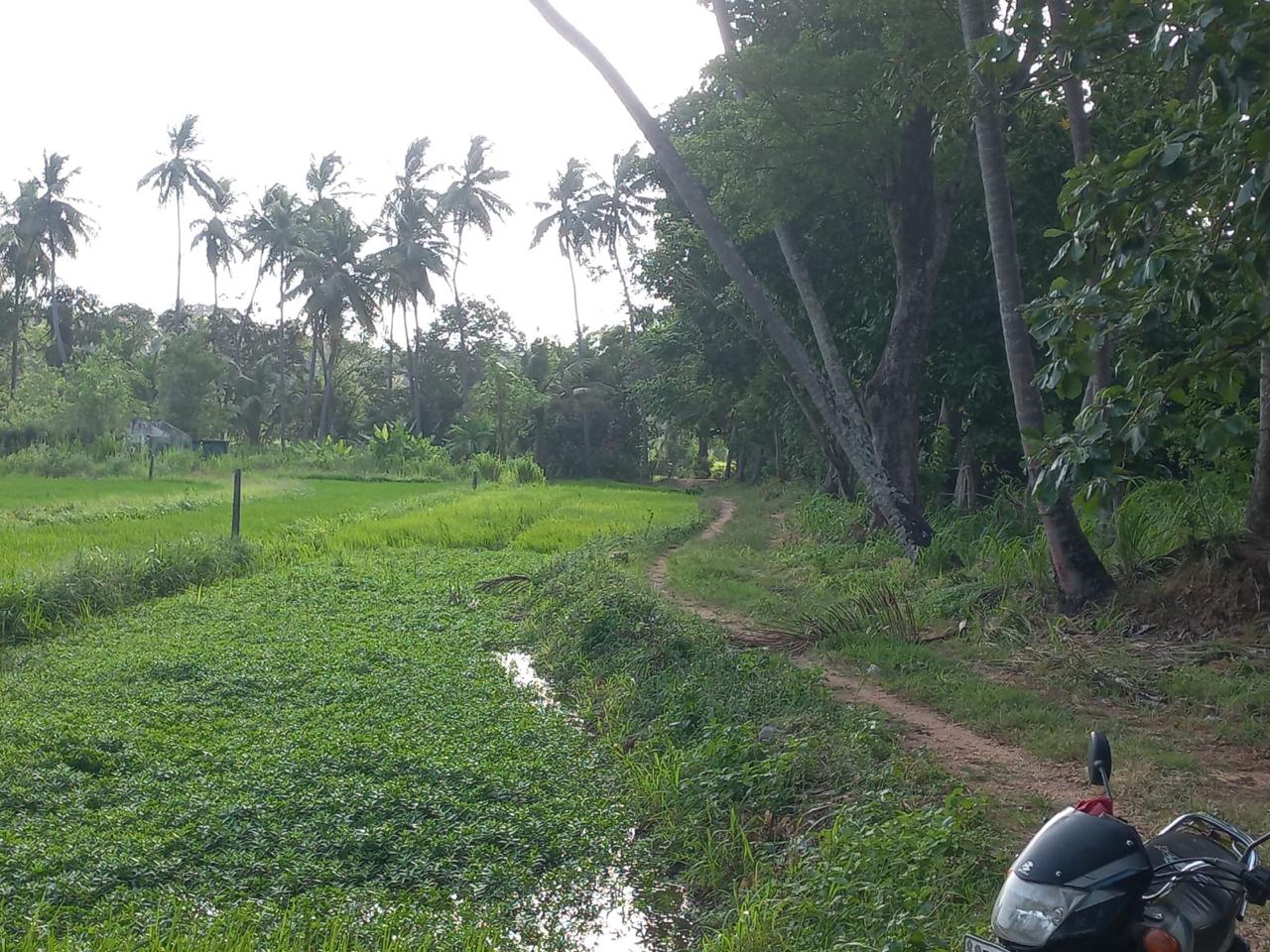 Keselwatta Land for Sale