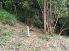 Land for Sale Galgediyawa