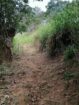 Land for Sale Galgediyawa