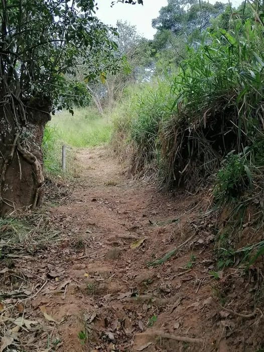 Land for Sale Galgediyawa