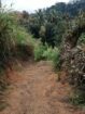 Land for Sale Galgediyawa