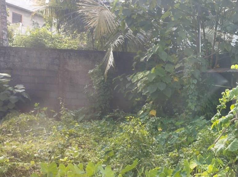 Land For Sale In Koswatta
