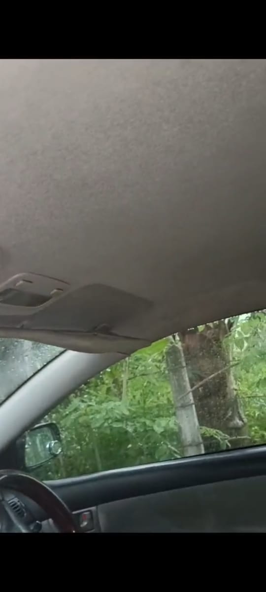 Toyota Corolla 121 G Grade 2003