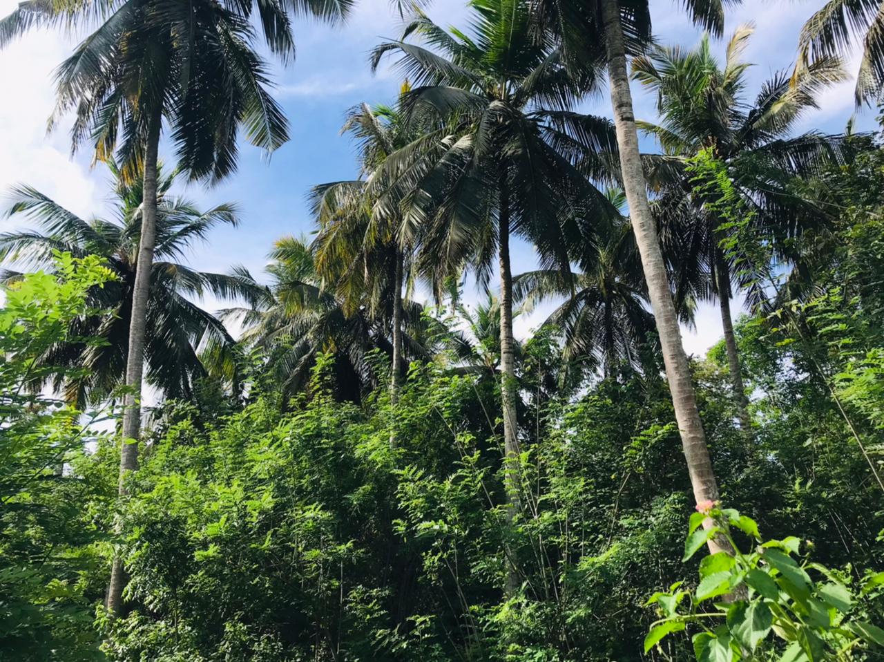 ඔප්පුඉඩම විකිණීමට මුතුකන්ඩිය