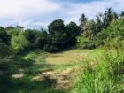 ඔප්පුඉඩම විකිණීමට මුතුකන්ඩිය