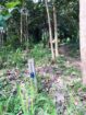 ඔප්පුඉඩම විකිණීමට මුතුකන්ඩිය