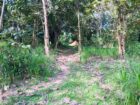 ඔප්පුඉඩම විකිණීමට මුතුකන්ඩිය