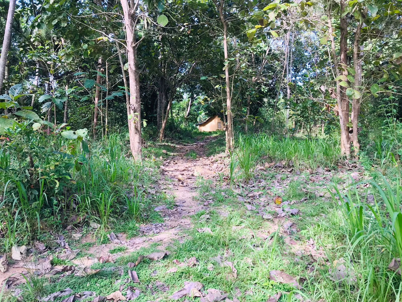 ඔප්පුඉඩම විකිණීමට මුතුකන්ඩිය