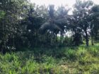 ඔප්පුඉඩම විකිණීමට මුතුකන්ඩිය