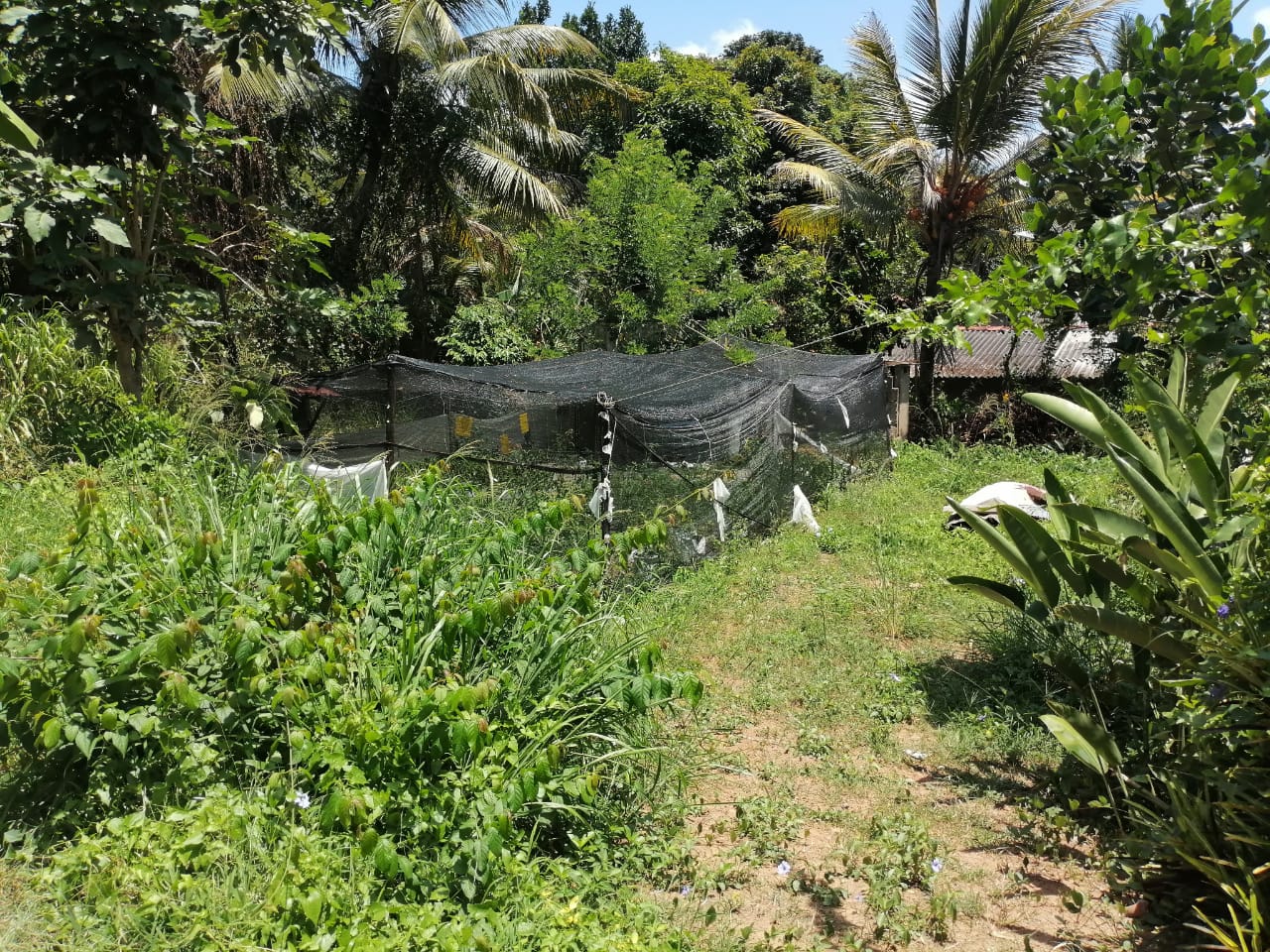 ඉඩම විකිණීමට රාගම