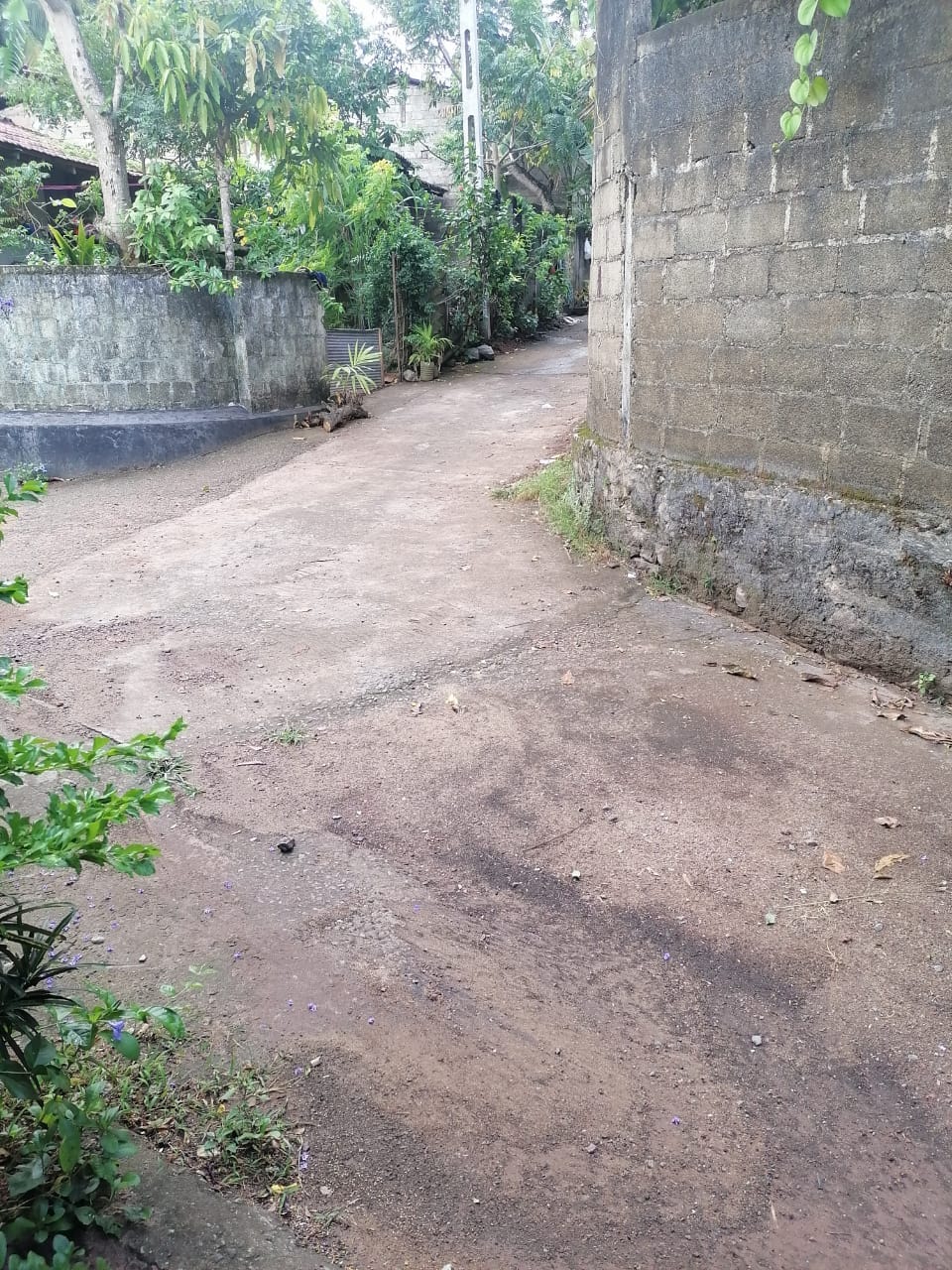 ඉඩම විකිණීමට රාගම
