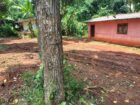 Land for Sale Anuradhapura