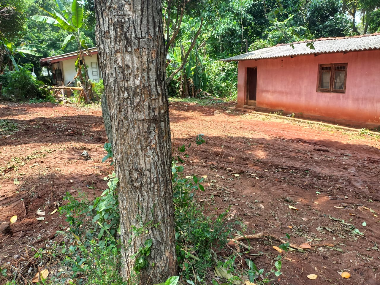 Land for Sale Anuradhapura