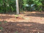 Land for Sale Anuradhapura