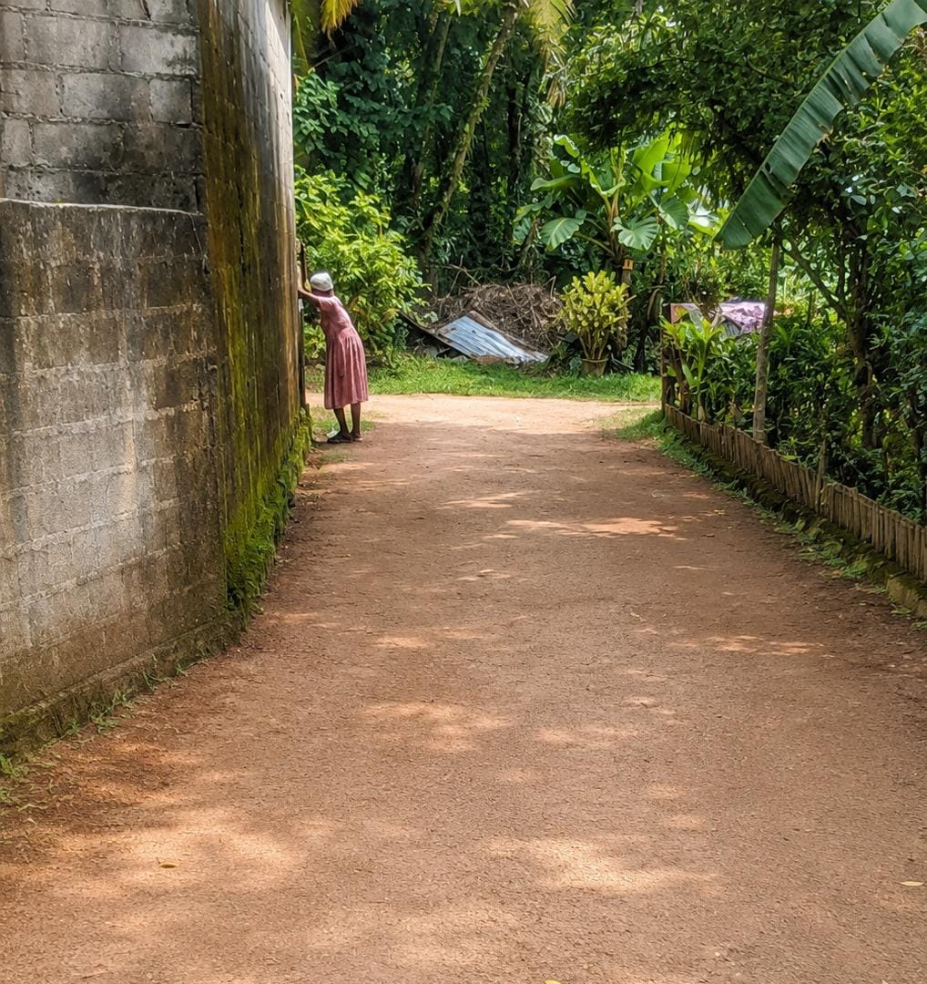 PRIME RESIDENTIAL LAND FOR SALE – GAMPAHA
