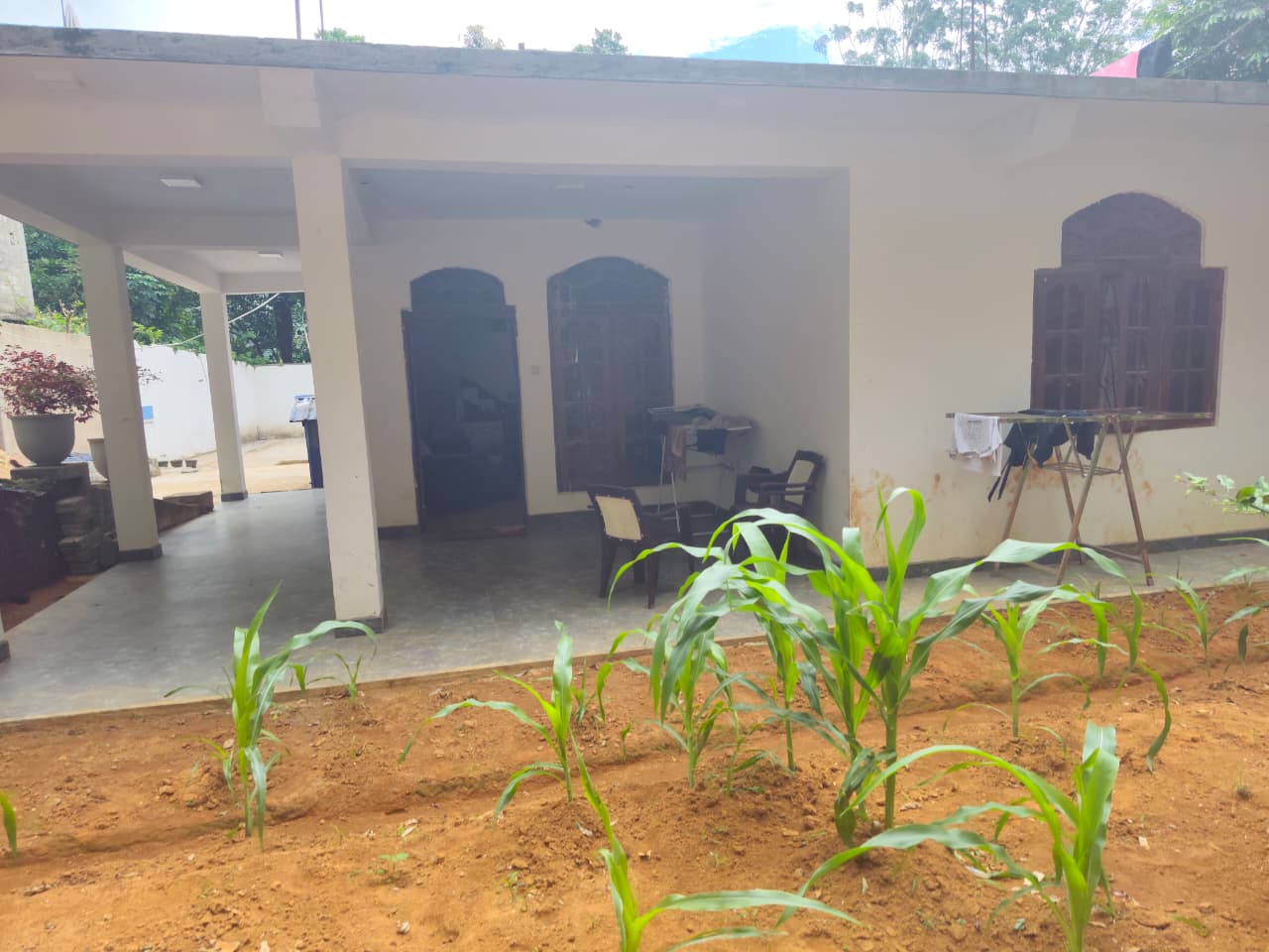 කැප්පෙටිපොල නිවසක් විකිණීමට