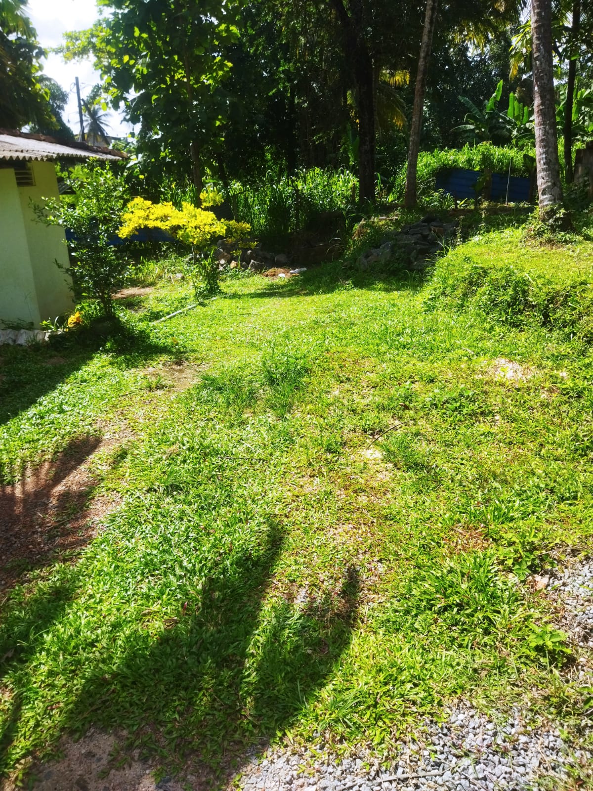Upstair House for Sale Negombo